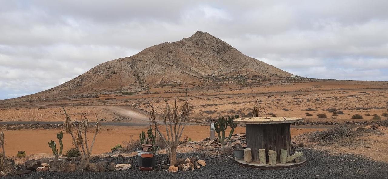 Dos Gatos Fuertaventura Villa Caleta De Fuste Eksteriør bilde