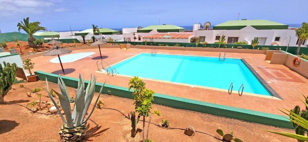 Dos Gatos Fuertaventura Villa Caleta De Fuste Eksteriør bilde